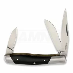 Kershaw Iredale Folding Knife 4386